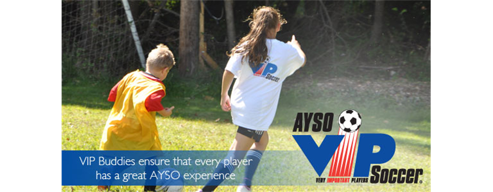Very Important Player (VIP) Program